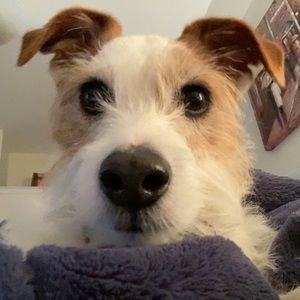 Meet your Posher, Kendall